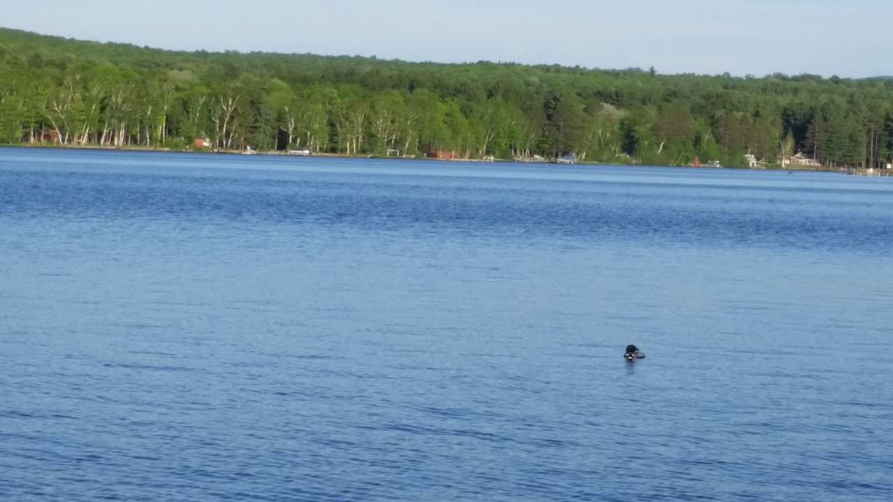 Photo of Others in Ellenburg Center