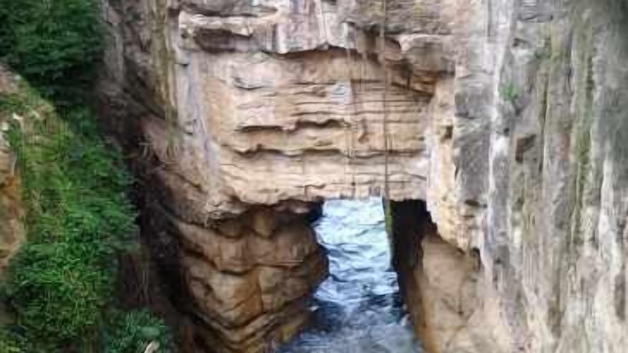 Photo of Others in Blackmans Bay