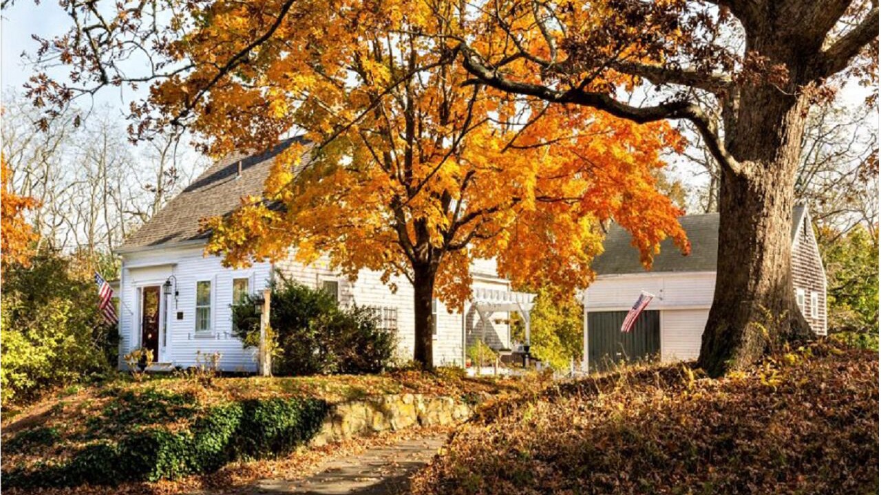 Photo of Outdoor in West Barnstable