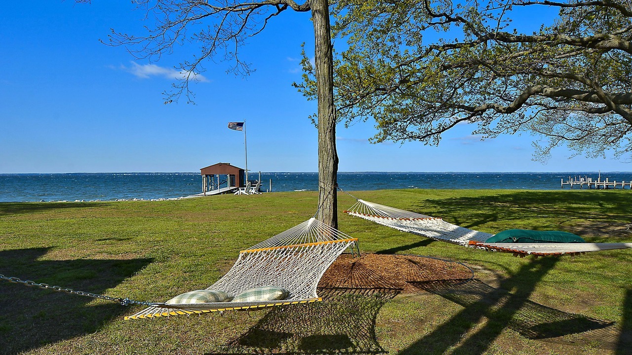 Photo of Others in Piney Point