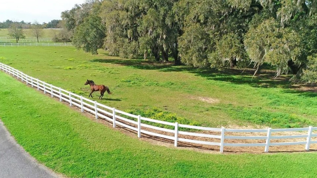 Photo of Outdoor in Monticello