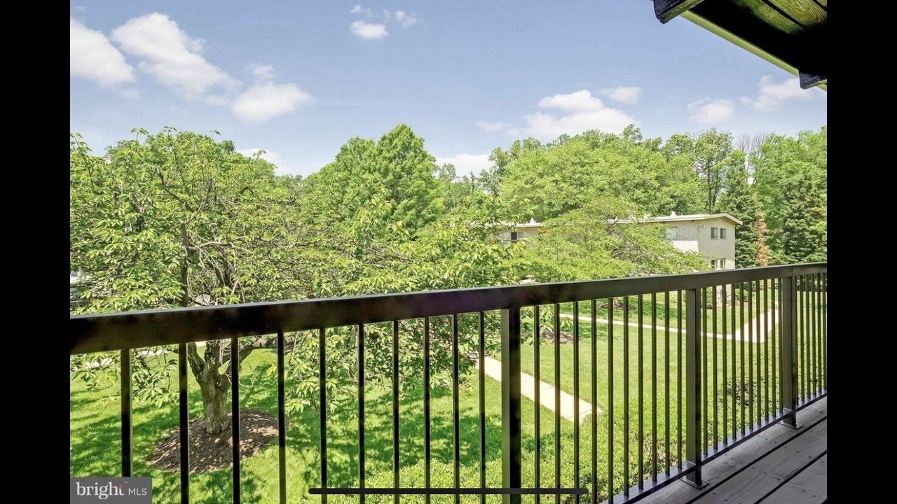 Photo of Outdoor in Annandale