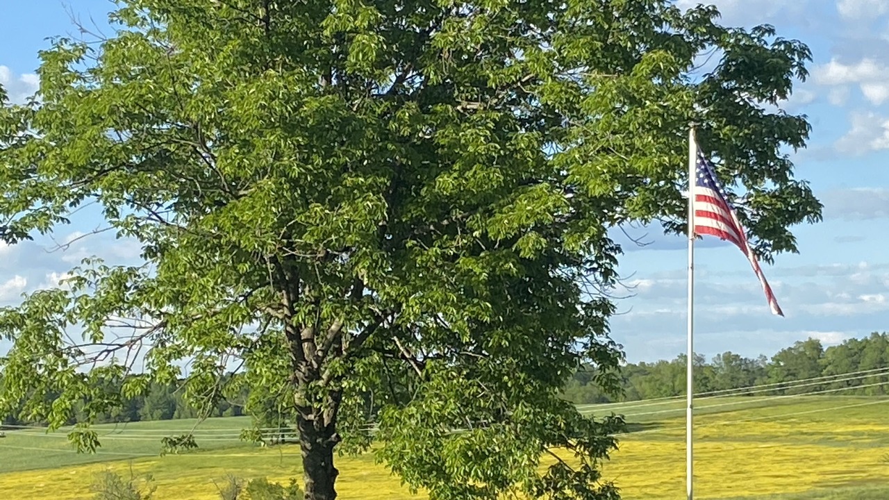 Photo of Others in Elizabeth