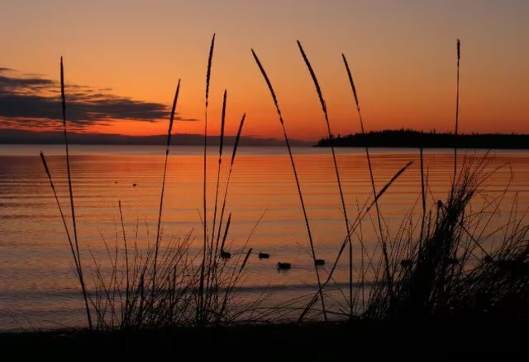 Photo of Others in Birch Bay