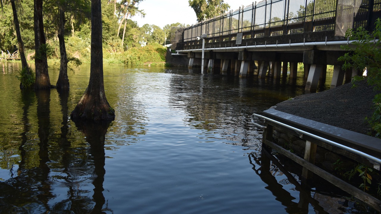 Photo of Others in Dunnellon