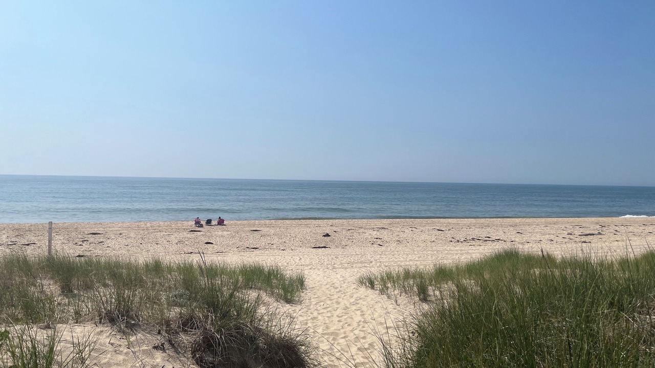Photo of Others in Beach Hampton