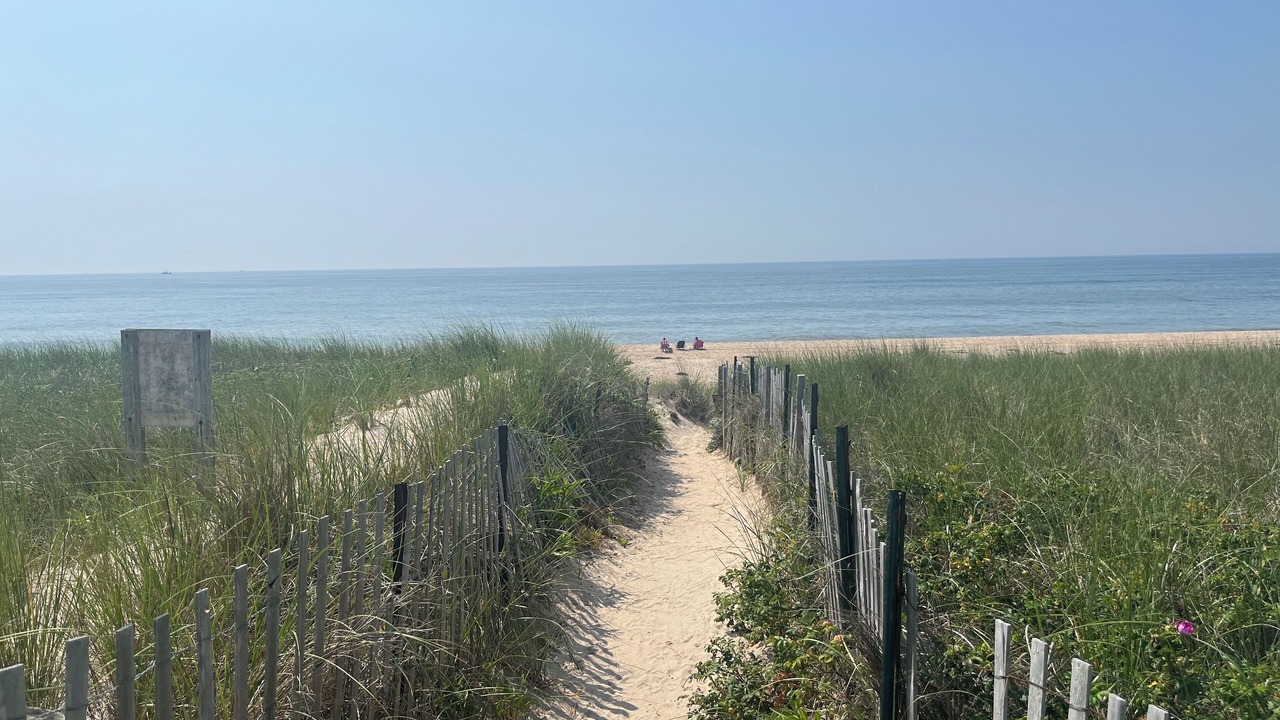 Photo of Others in Beach Hampton