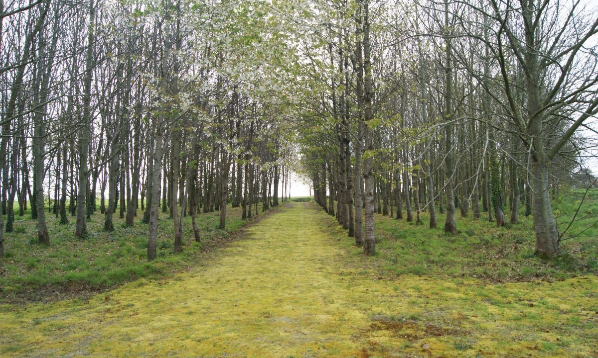 Photo of Outdoor in Gommenec'h