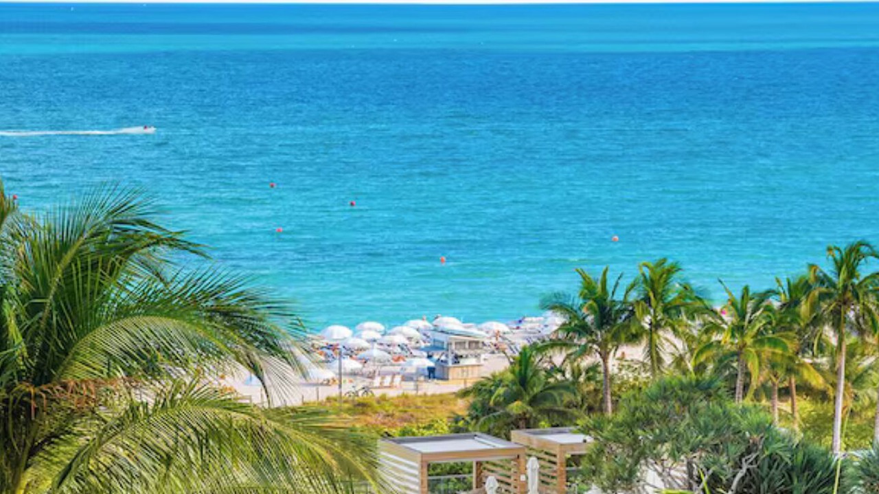 Photo of Others in South Beach