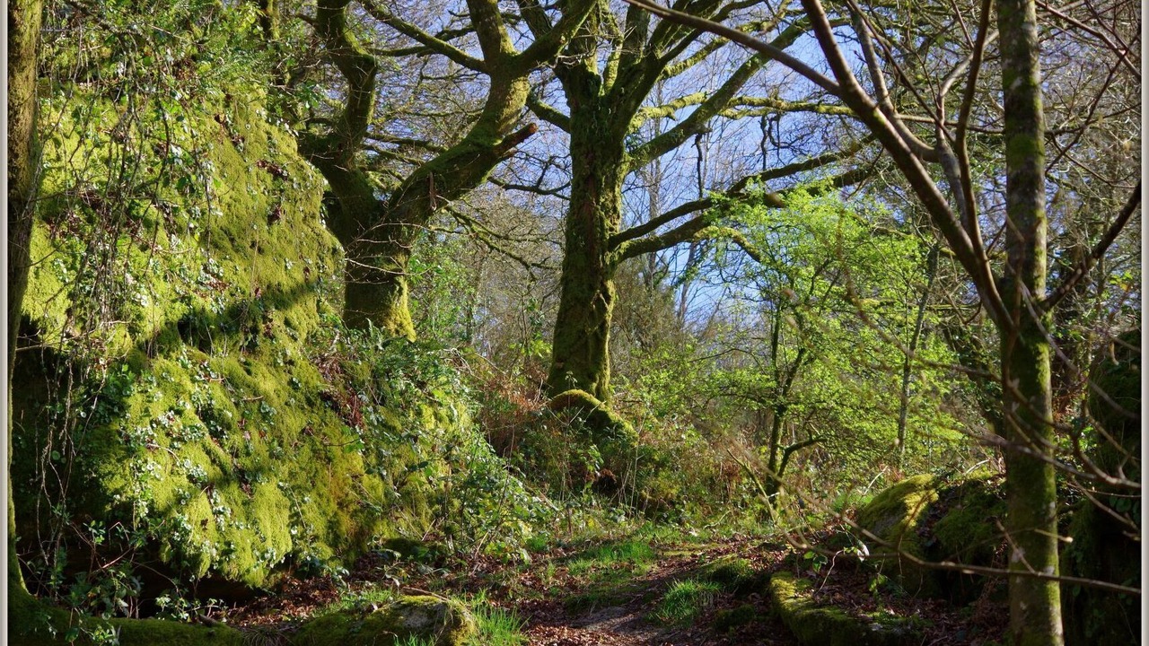 Photo of Outdoor in Le Croisty
