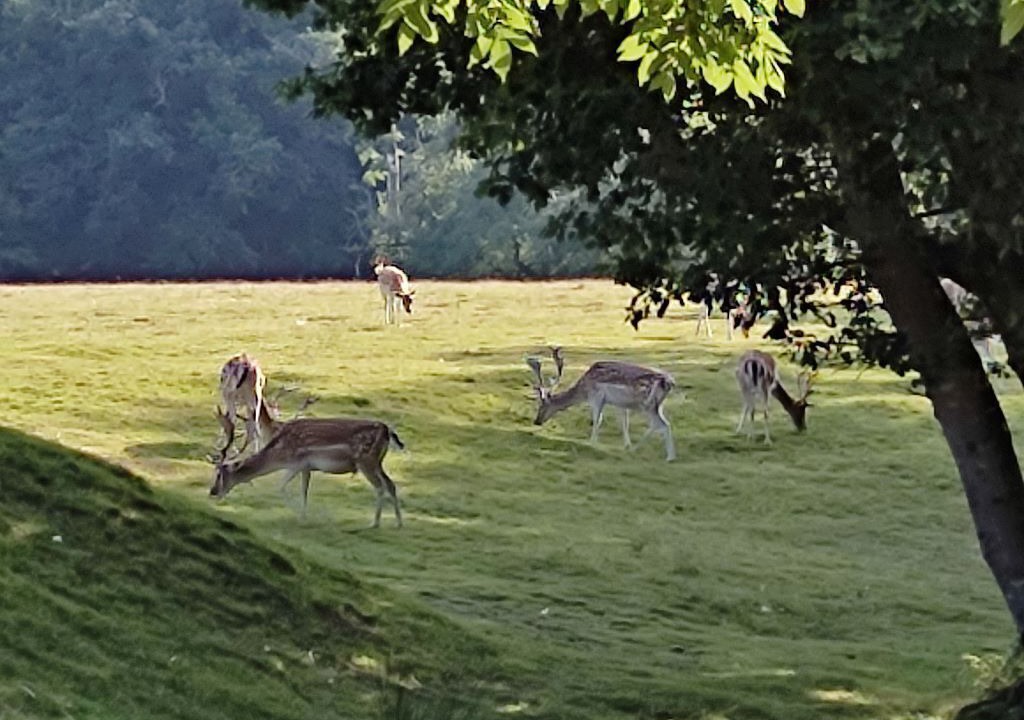 Photo of Outdoor in Le Croisty