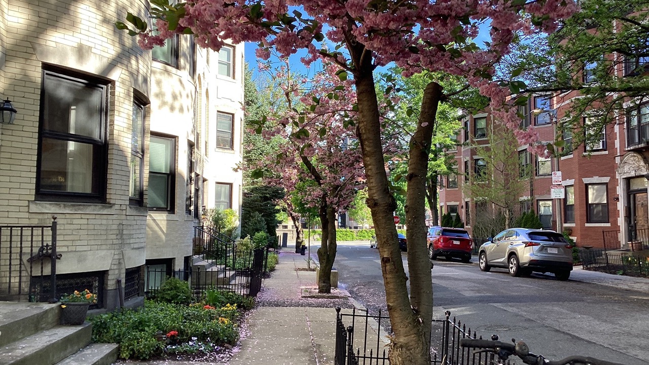 Photo of Others in Fenway–Kenmore