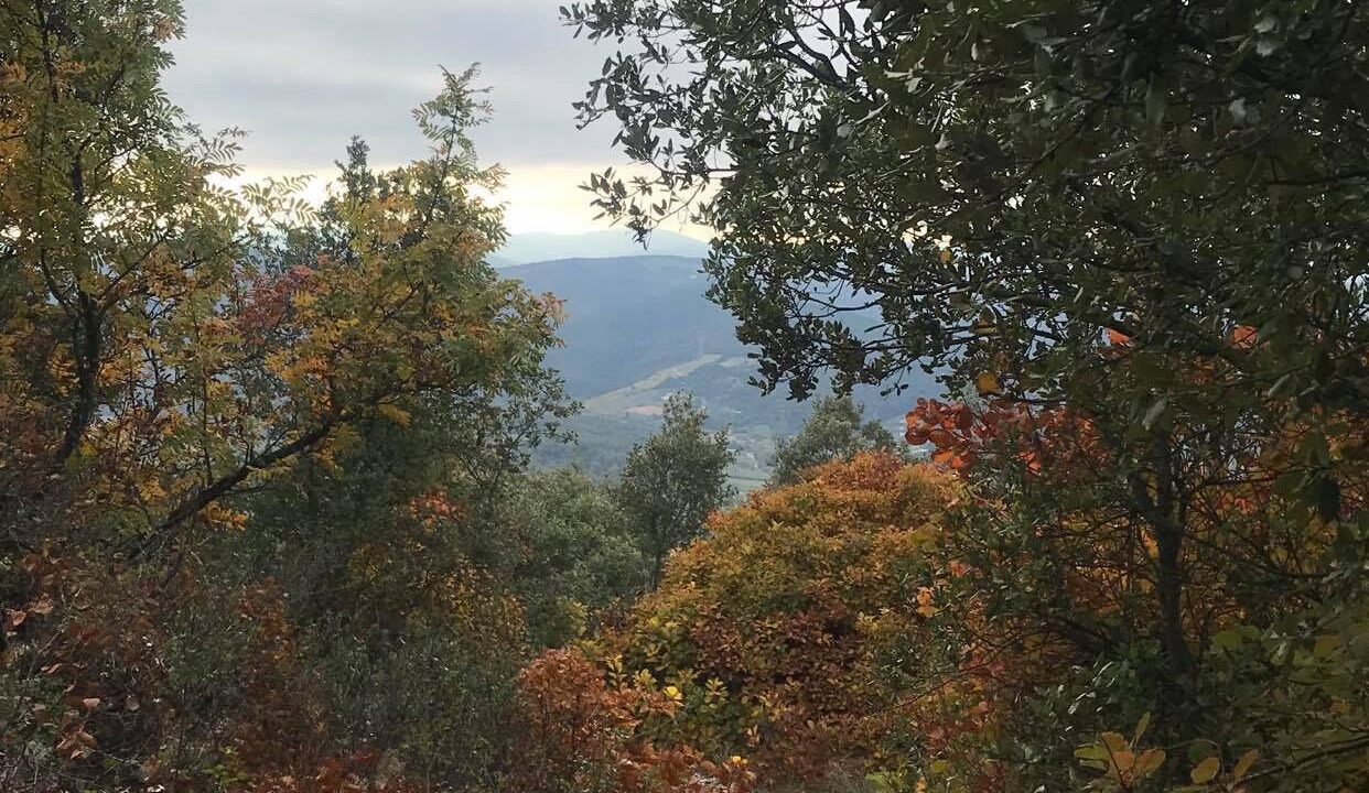 Photo of Outdoor in Saint-Peray