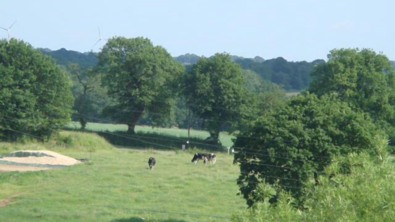 Photo of Others in Kerien