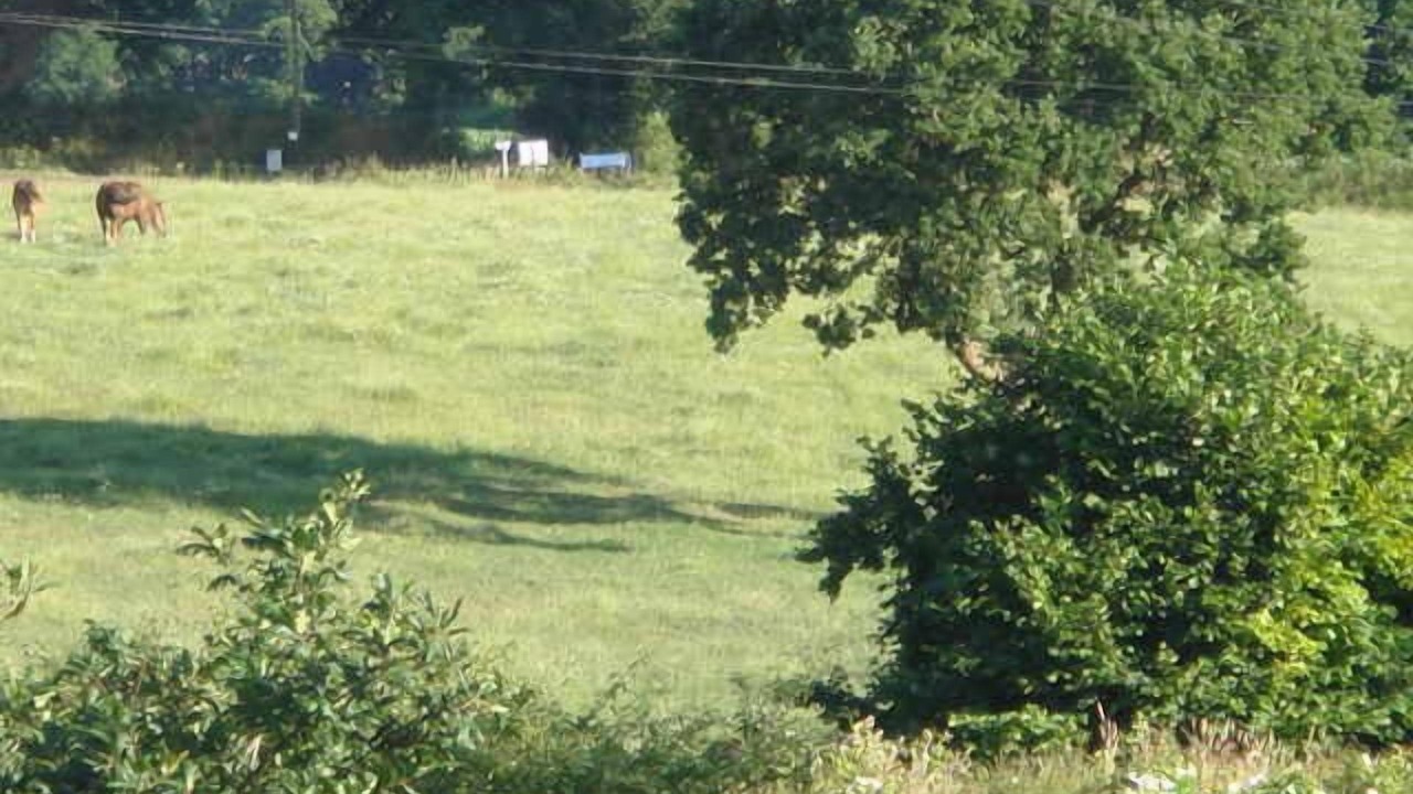Photo of Others in Kerien