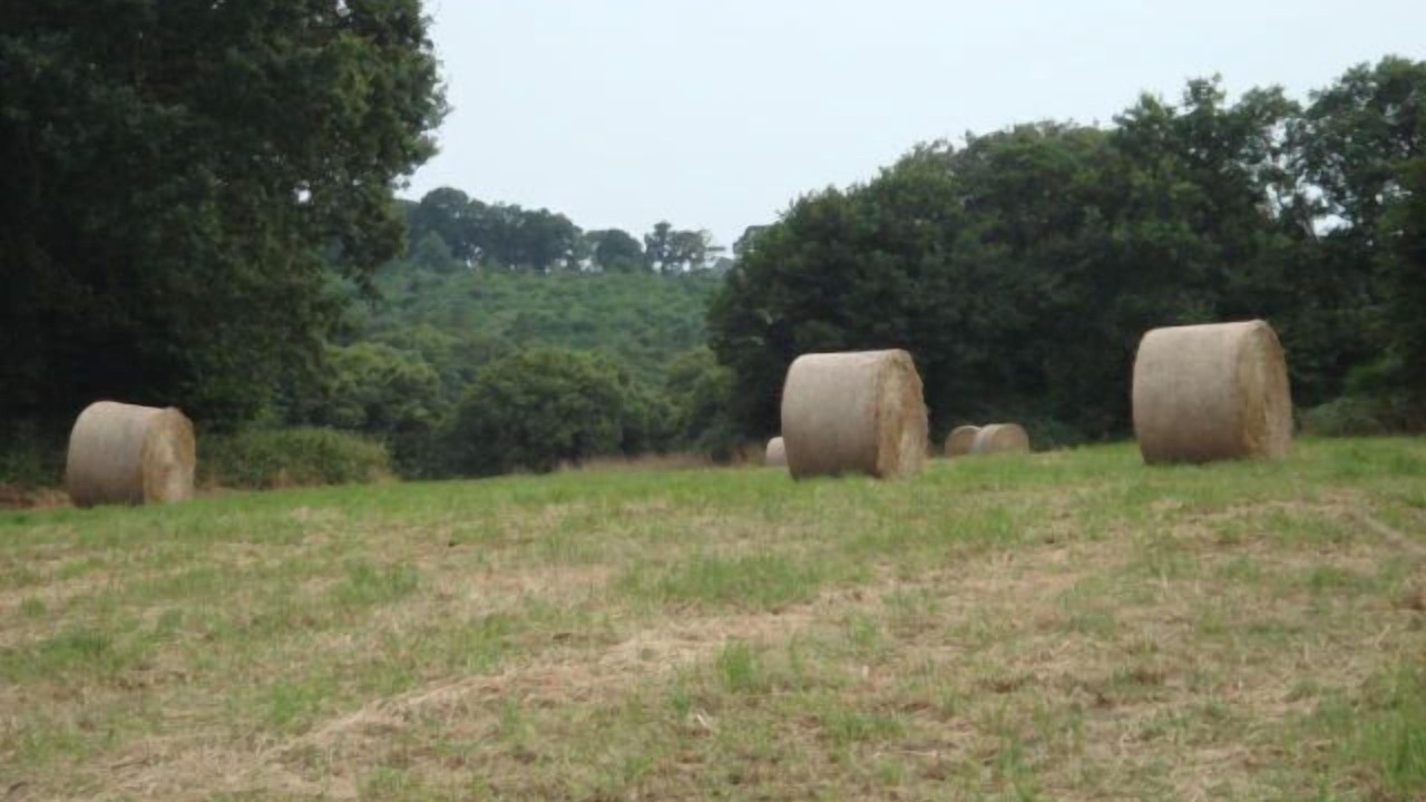 Photo of Others in Kerien