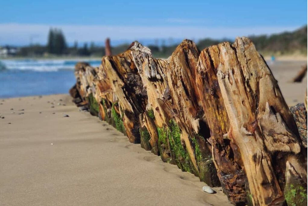 Photo of Others in Woolgoolga