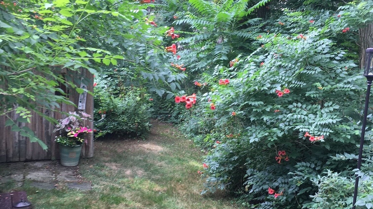 Photo of Others in Wellfleet