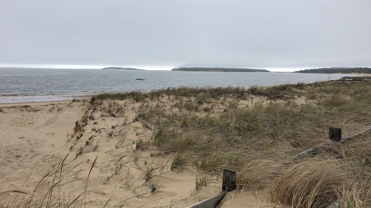 Photo of Others in Wellfleet