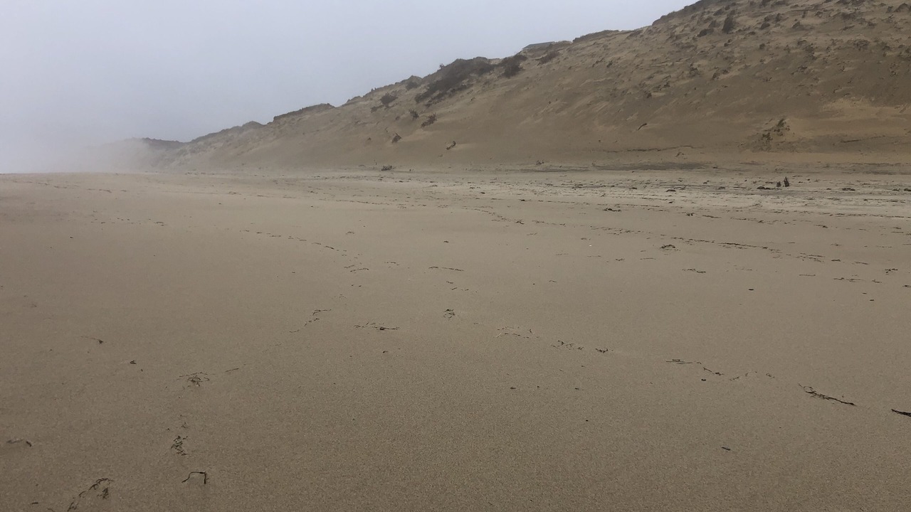Photo of Others in Wellfleet