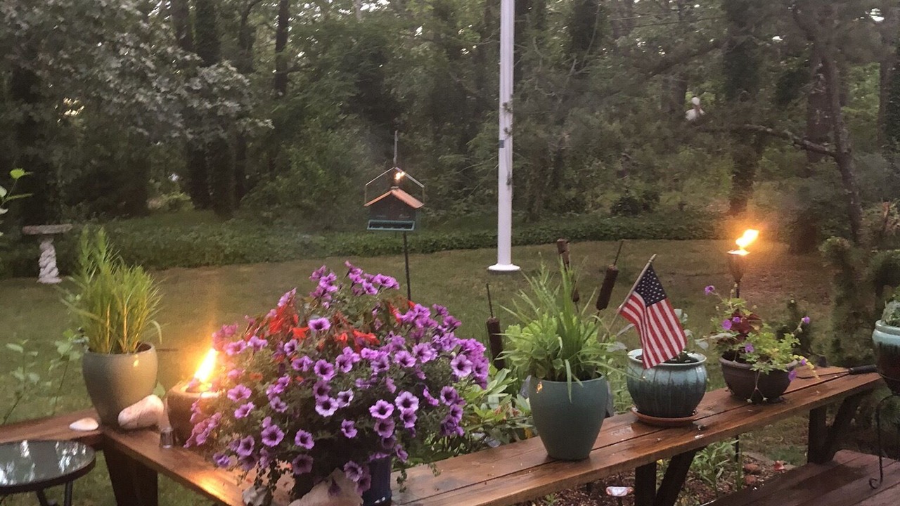 Photo of Others in Wellfleet