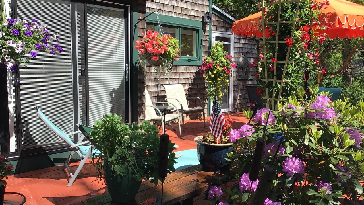 Photo of Others in Wellfleet
