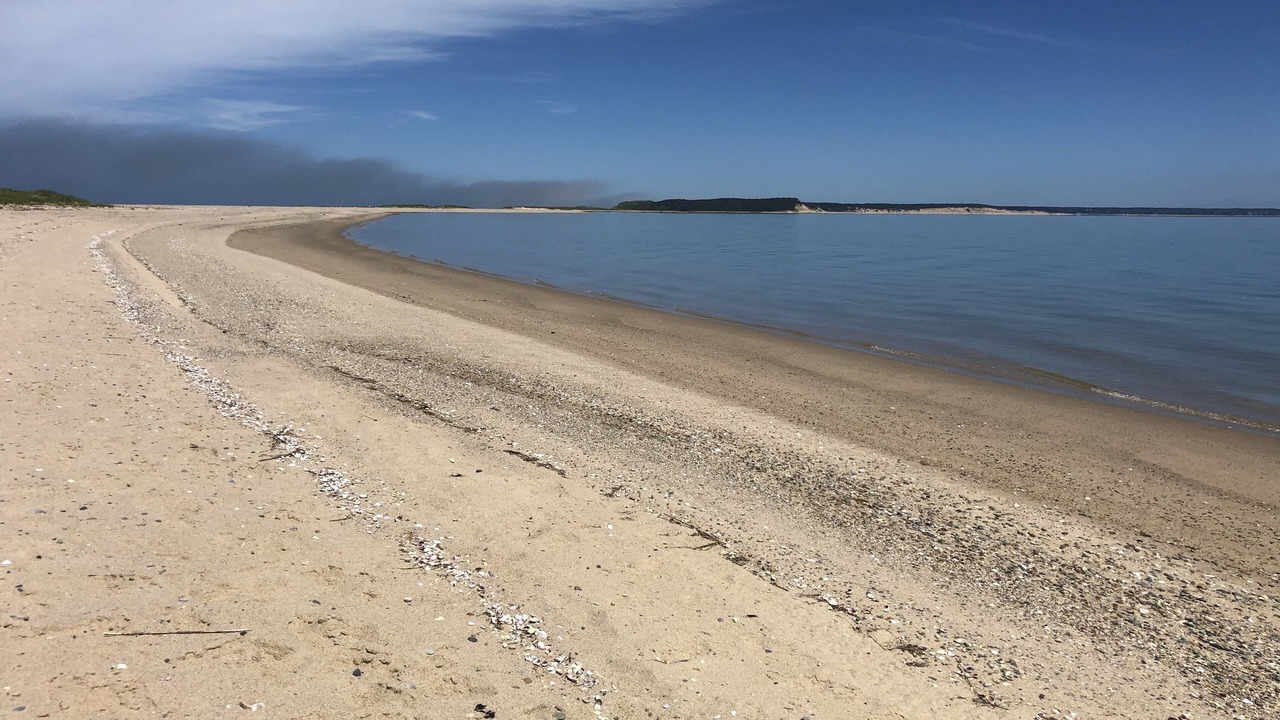 Photo of Others in Wellfleet