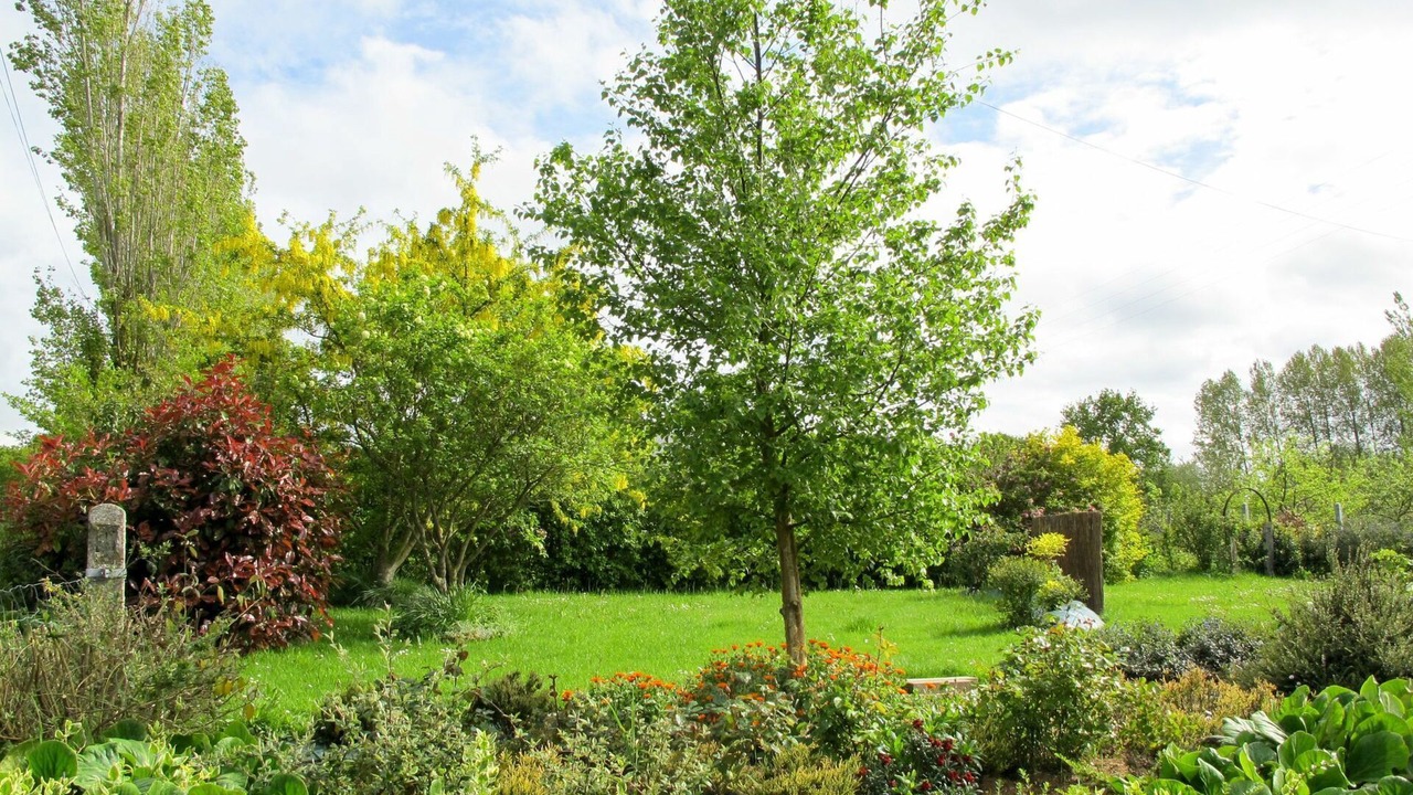 Photo of Outdoor in Matignon