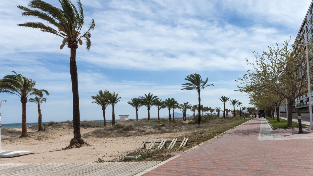 Photo of Others in Grau i Platja