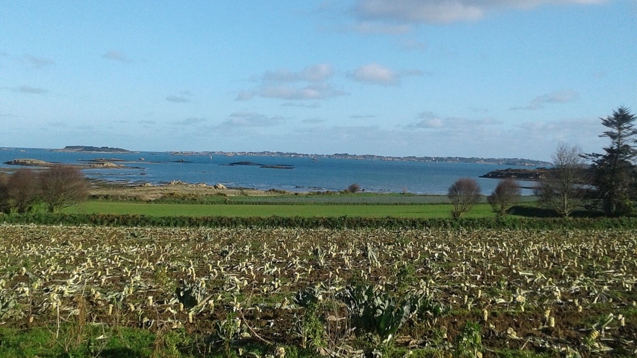 Photo of Outdoor in Lanmodez