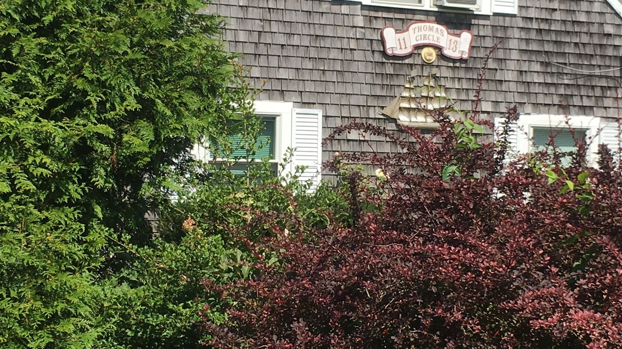 Photo of Others in Falmouth