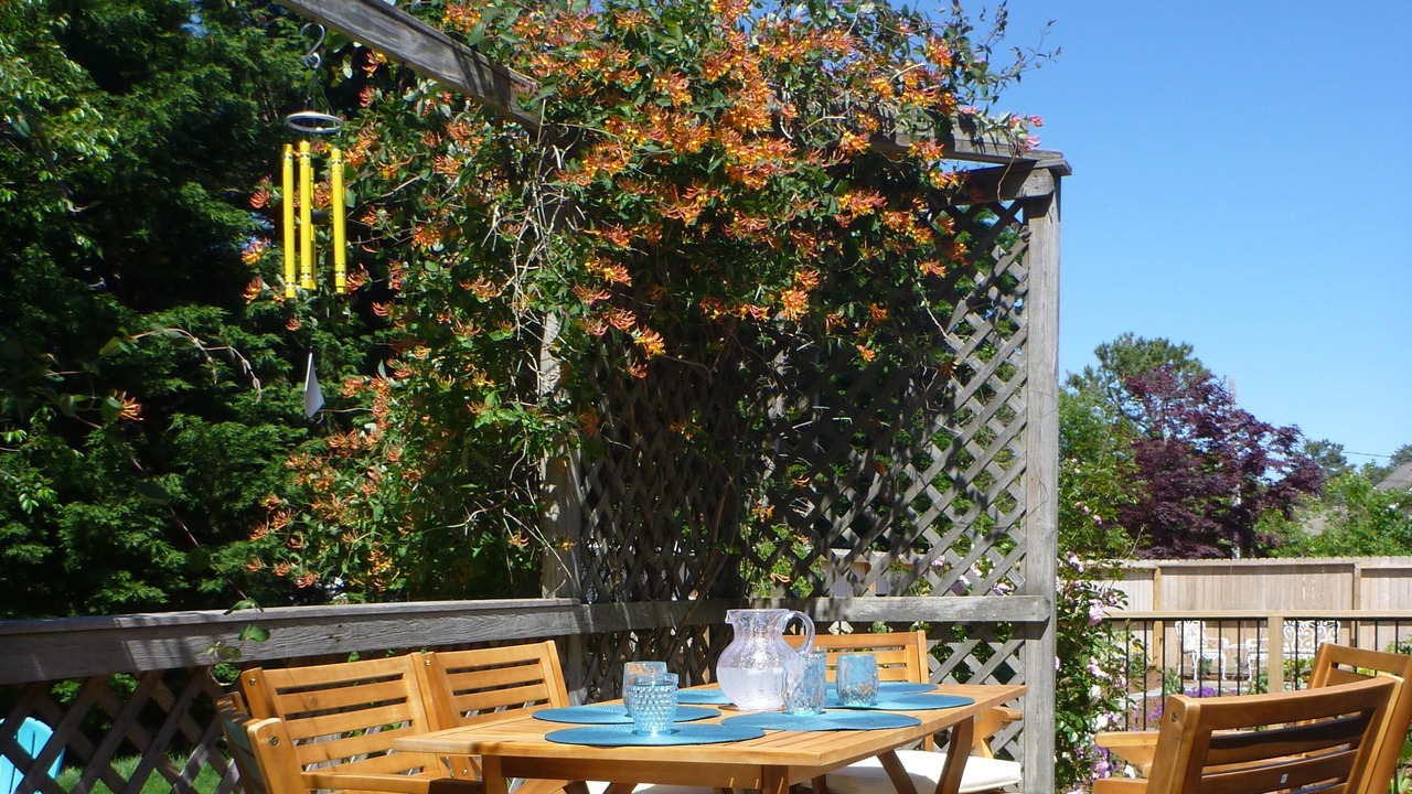Photo of Outdoor in Eastham