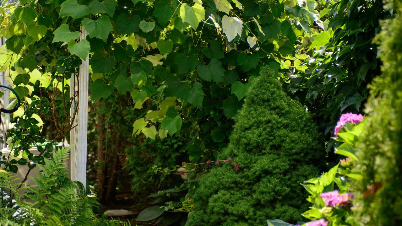Photo of Outdoor in Marblehead