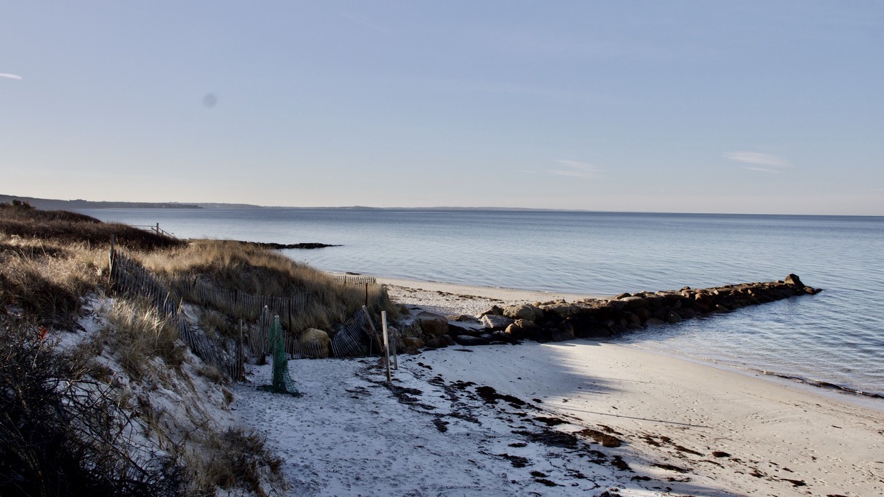 Photo of Others in West Falmouth