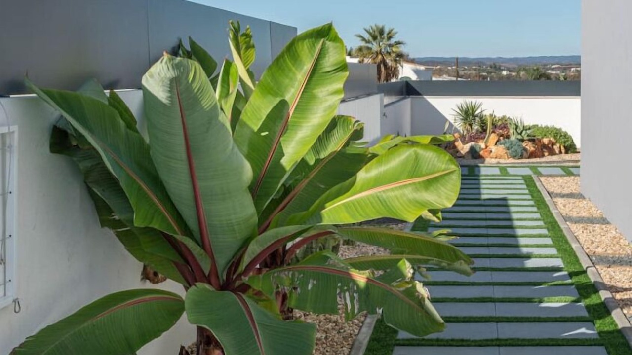 Photo of Outdoor in Montes de Alvor