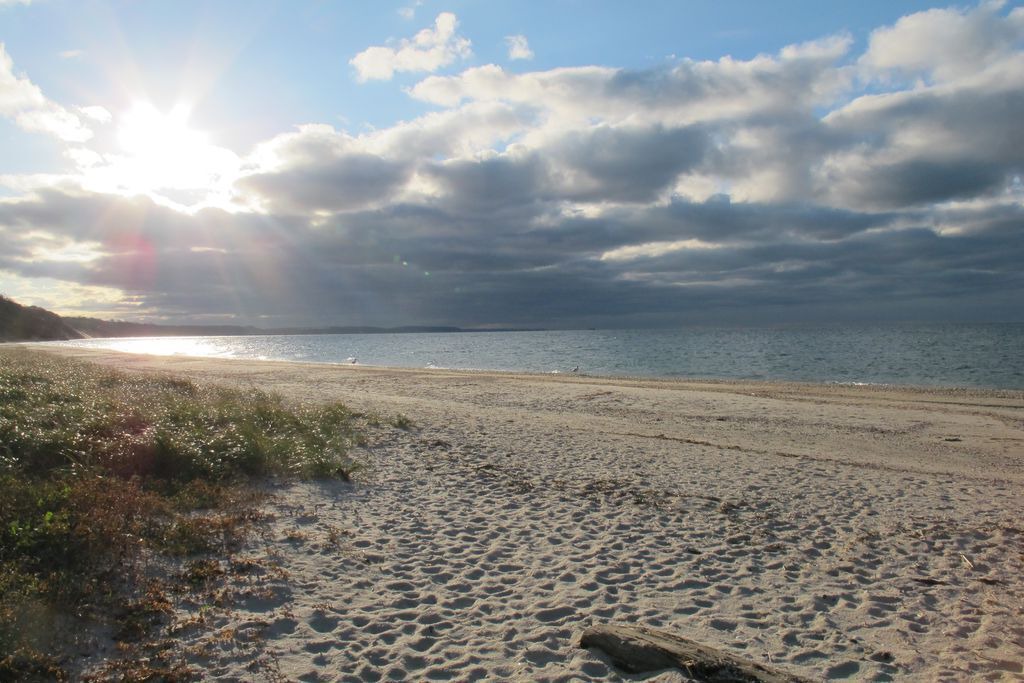 Photo of Others in Mattituck