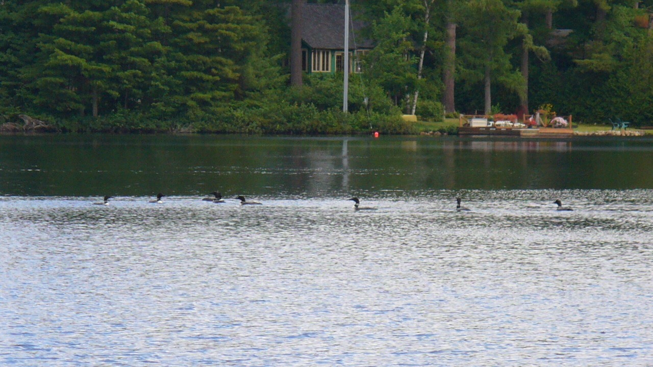 Photo of Others in Rainbow Lake