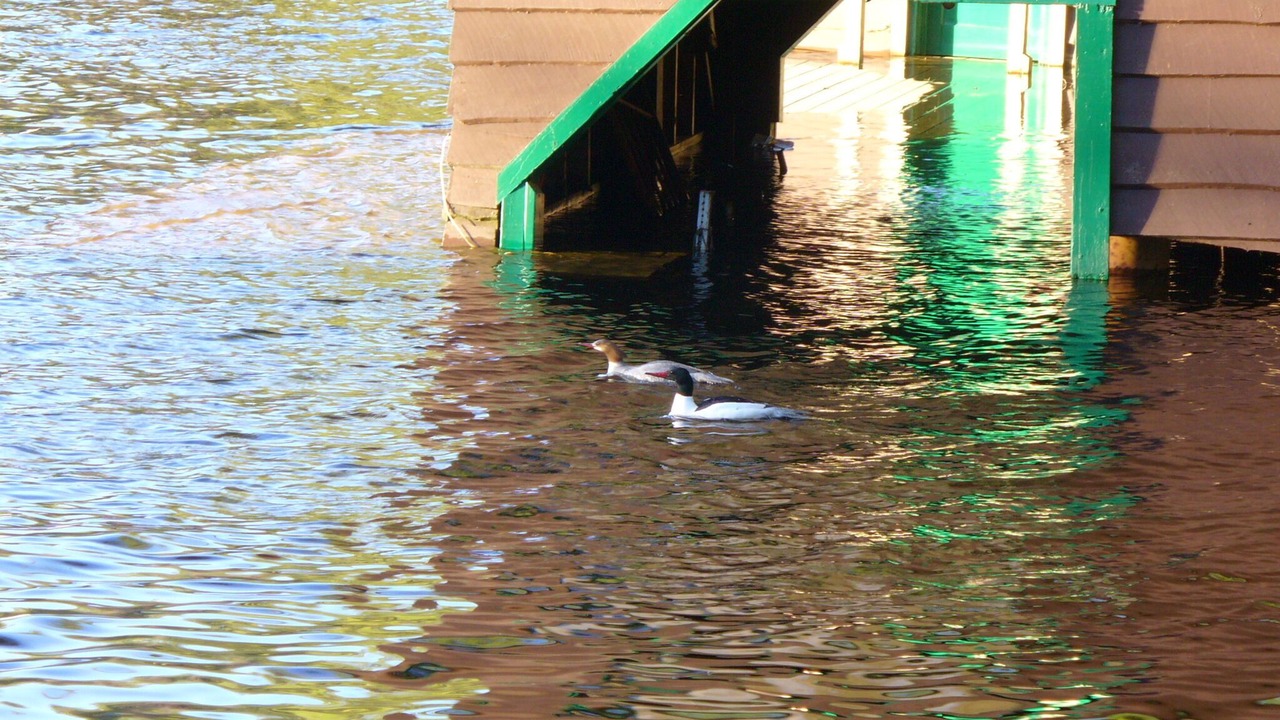 Photo of Others in Rainbow Lake