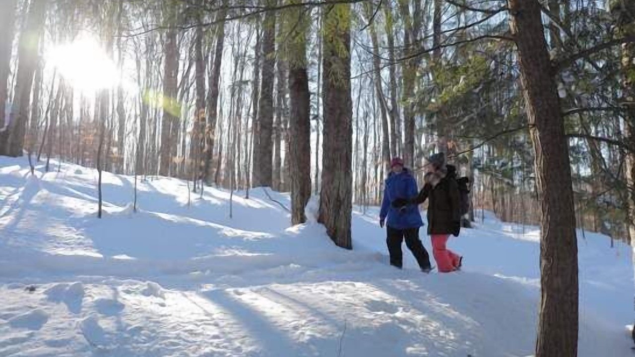 Photo of Others in Harbor Springs