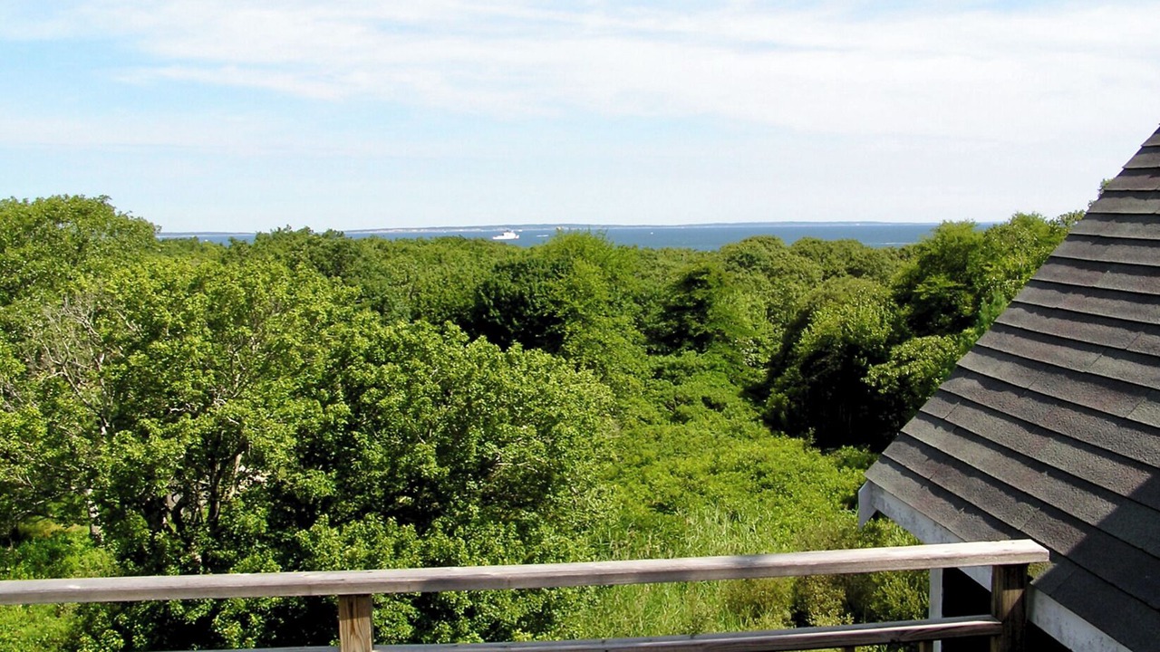 Photo of Others in Aquinnah