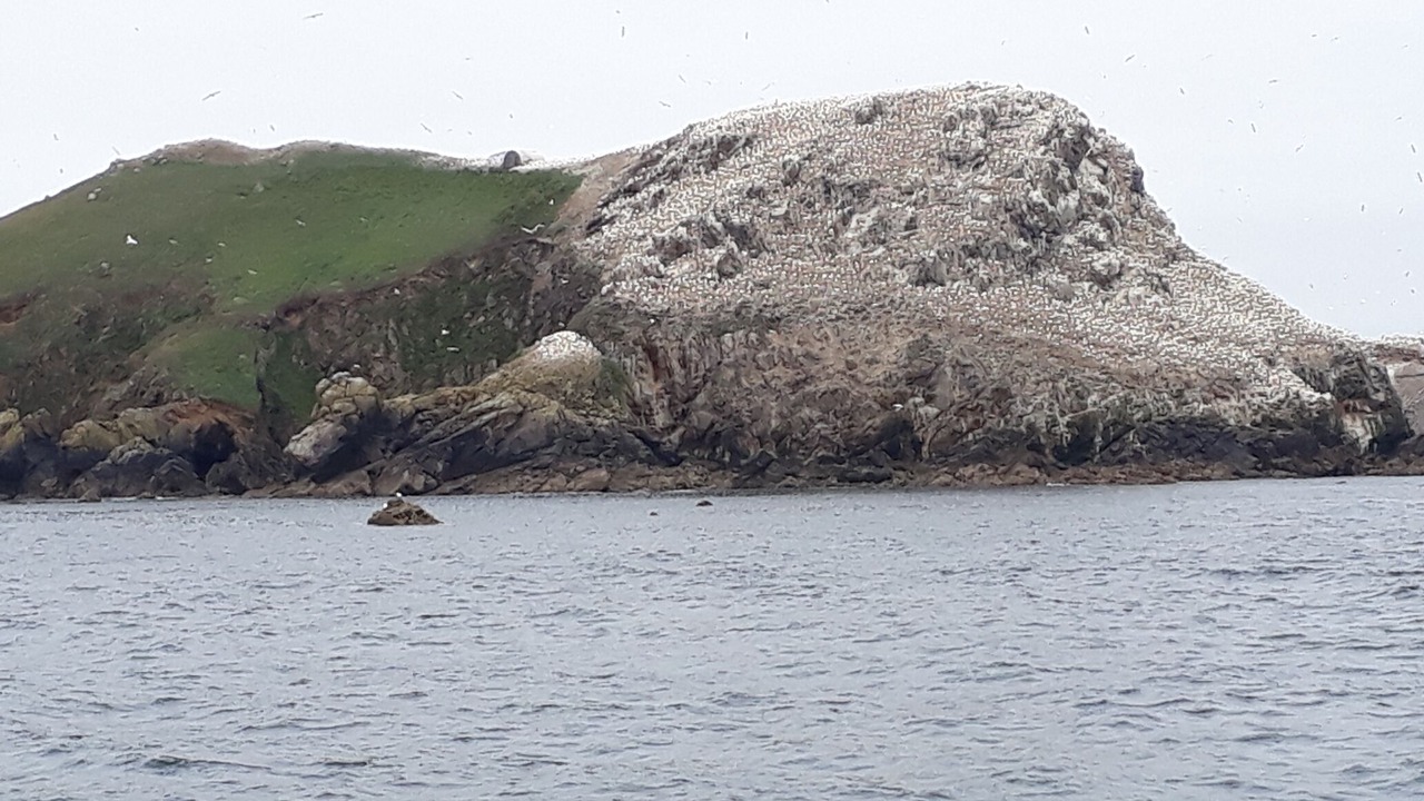 Photo of Others in Trevou-Treguignec