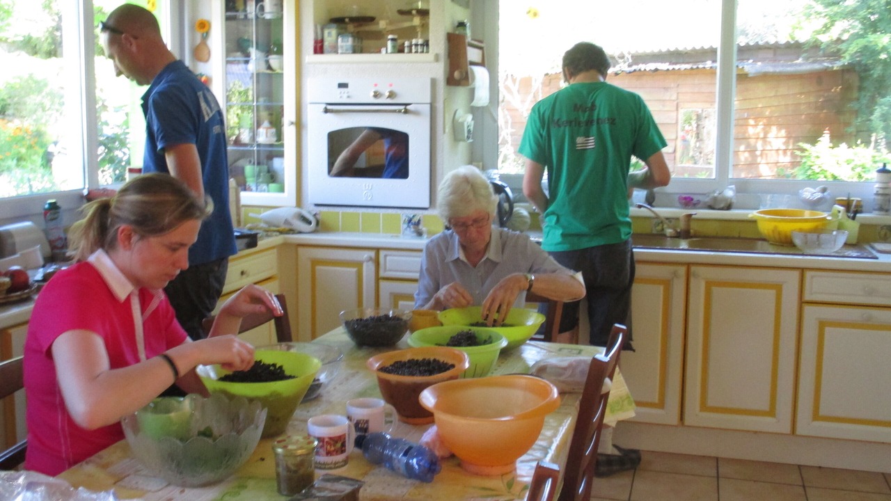 Photo of Others in Calan