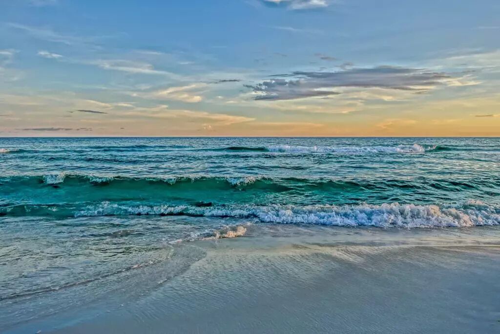 Photo of Others in White's Gulfview