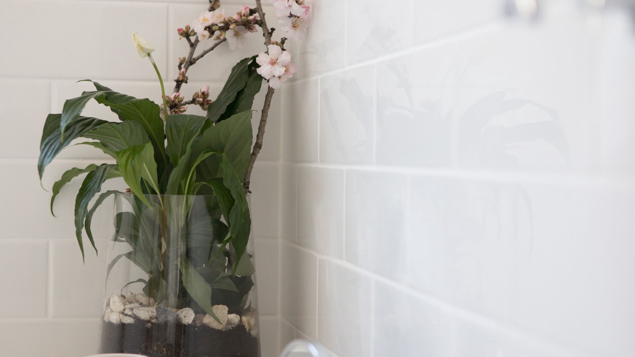 Photo of Bathroom in Angaston