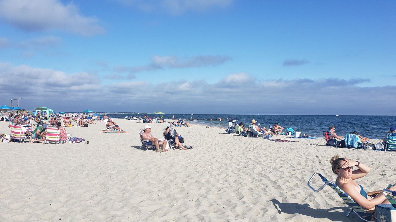 Photo of Others in South Harwich
