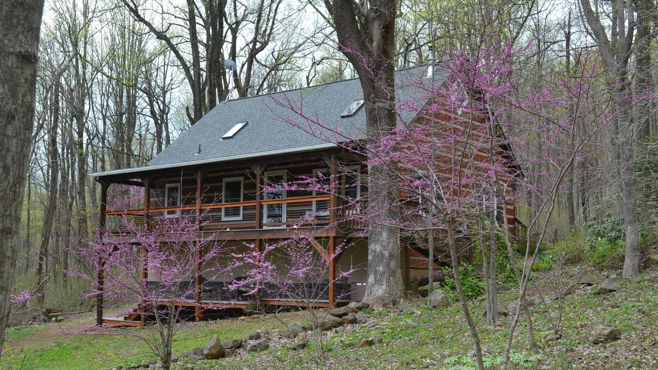 Photo of Outdoor in Linden
