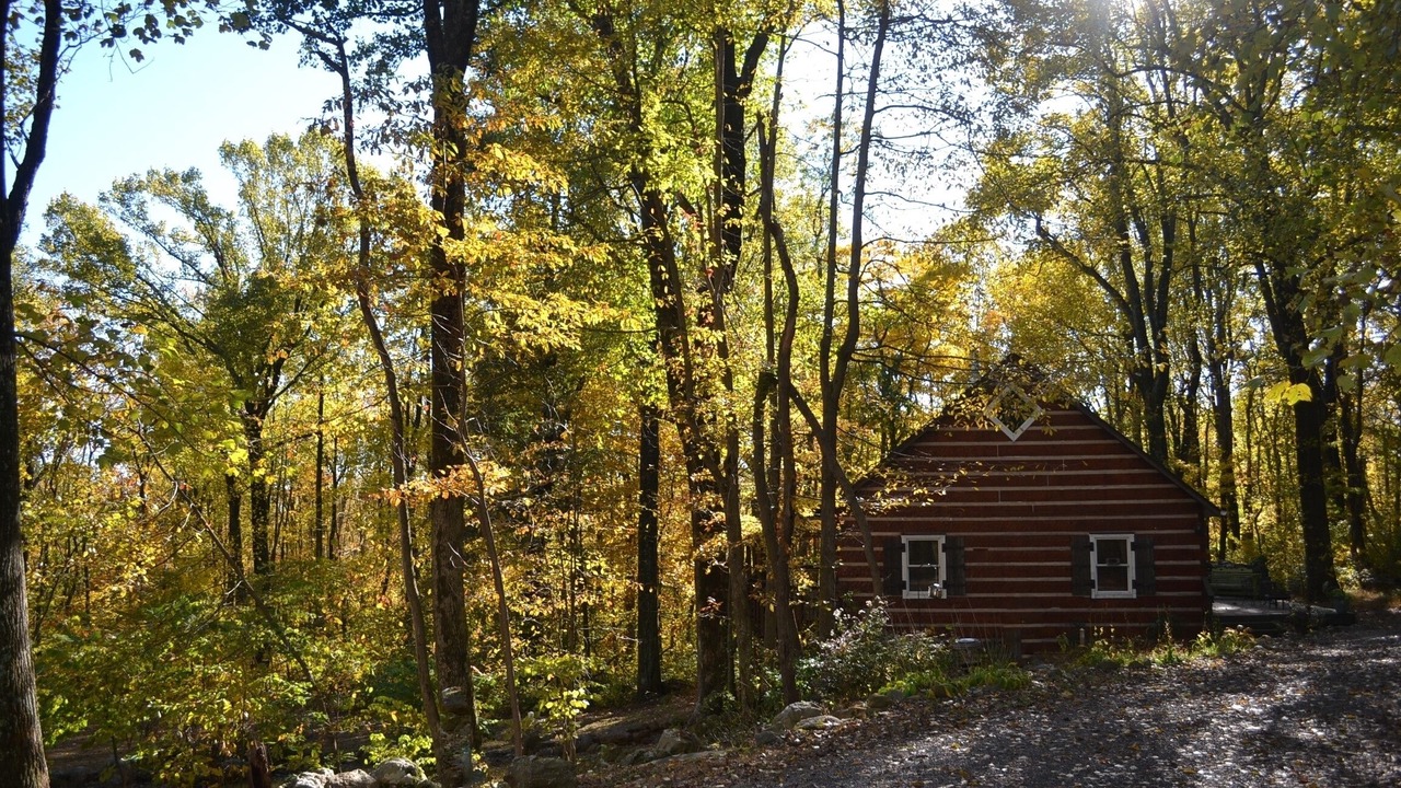 Photo of Outdoor in Linden