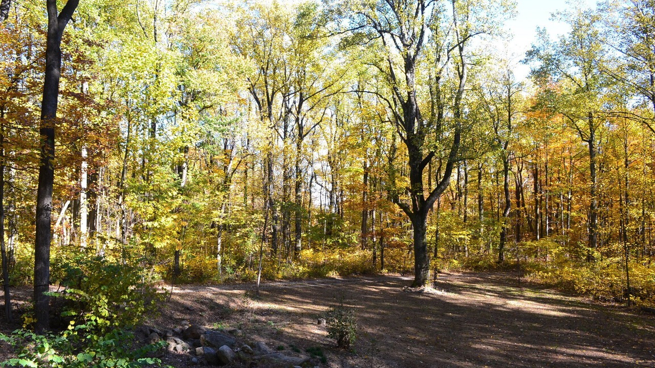 Photo of Others in Linden