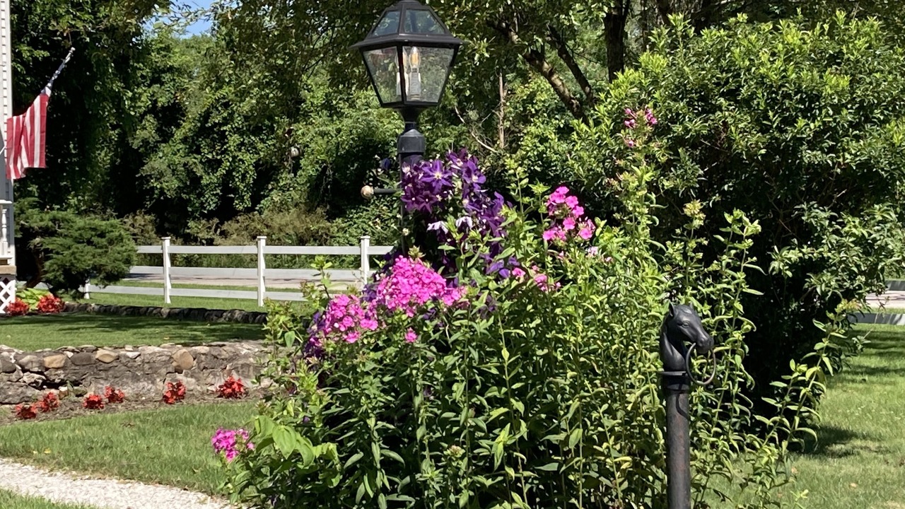 Photo of Outdoor in South Bend