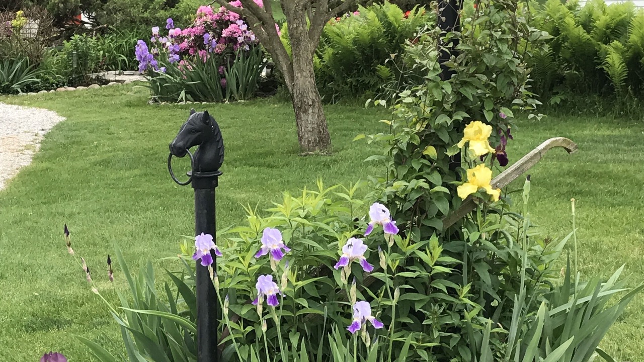 Photo of Outdoor in South Bend